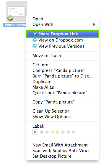 Dropbox 網站上的分享連結