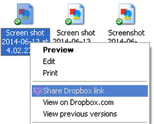 Dropbox 網站上的分享連結